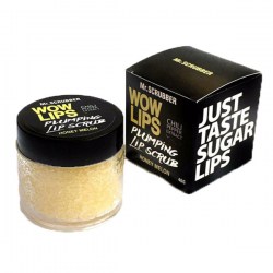 Купить Mr.Scrubber Plumping Lip Scrab Wow Lips Honey Melon Киев, Украина
